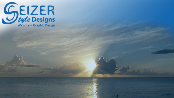 SeizerStyle Designs Google + Cover